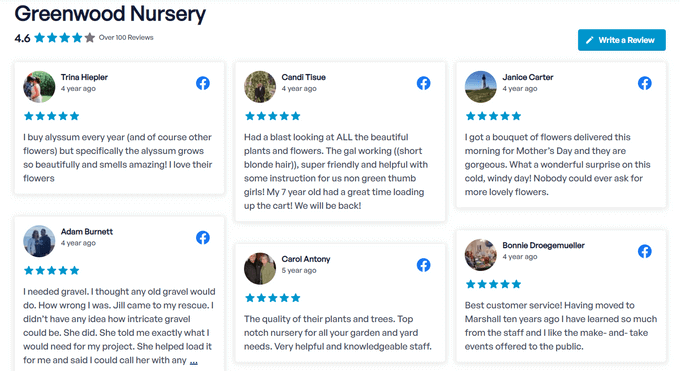 使用 Smash Balloon Reviews Feed Pro 插件的客戶評論示例